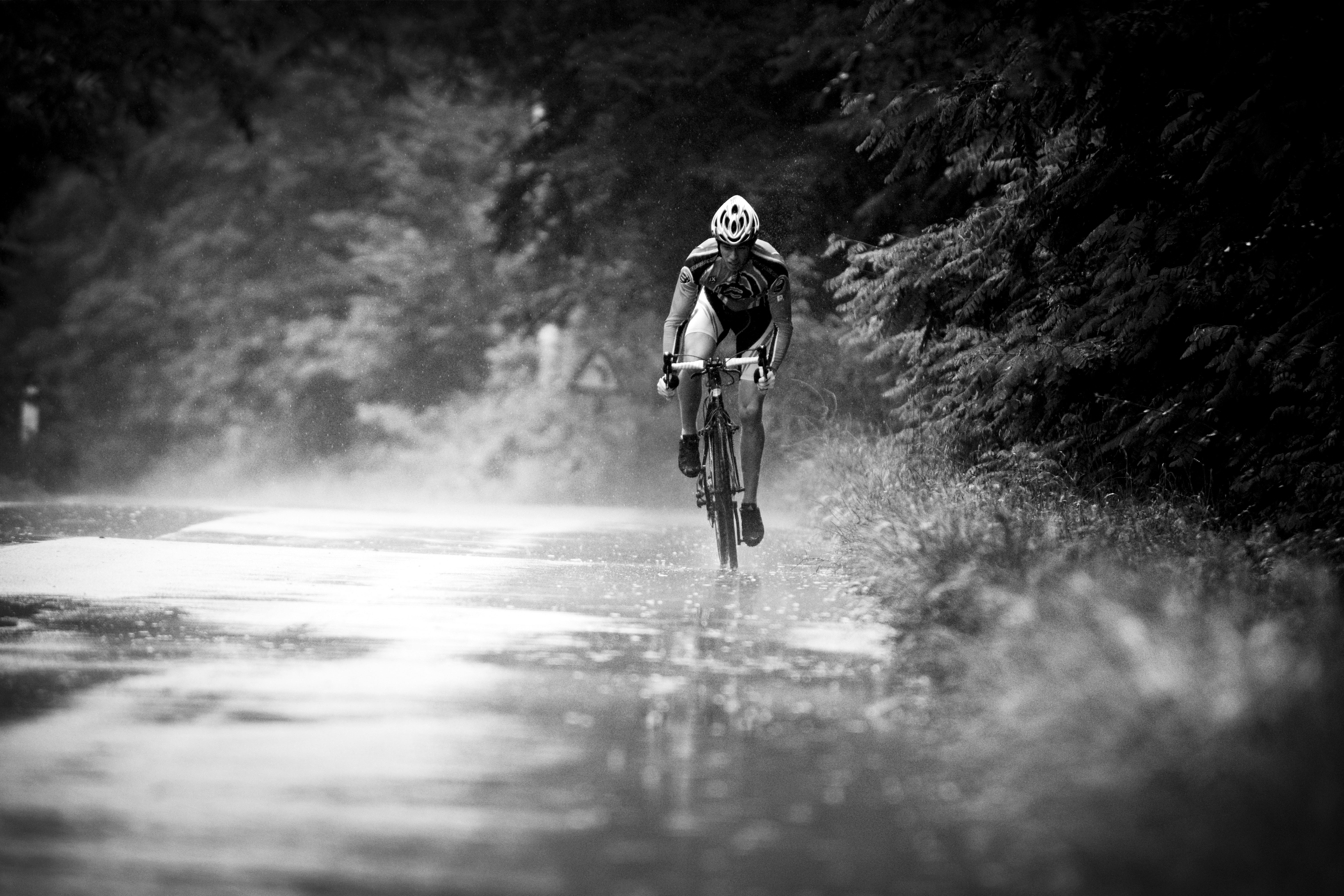 bergamont.files.wordpress.com