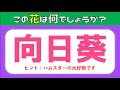 [無料ダウンロード！ √] 簡単クイズ 321964-簡単クイズ 小学生