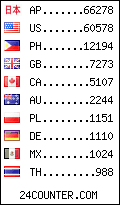 visitors by country counter