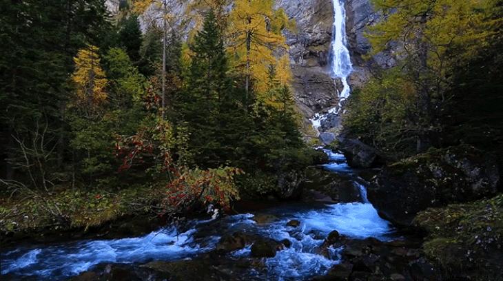 Os Presentes Que a Natureza Nos Dá