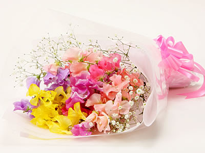 スイートピーの花束 卒業 入学 昇進 退職の花ギフト通販 宅配 花のギフトはwfs