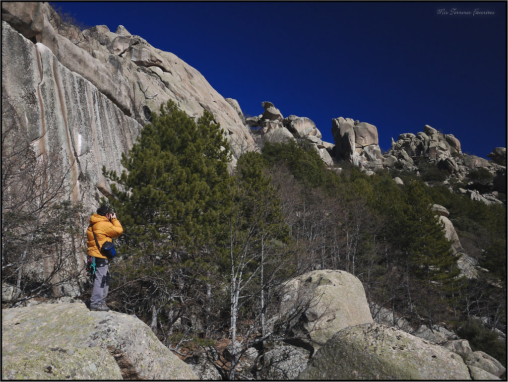 PEDRIZA - EL NORMANDO 