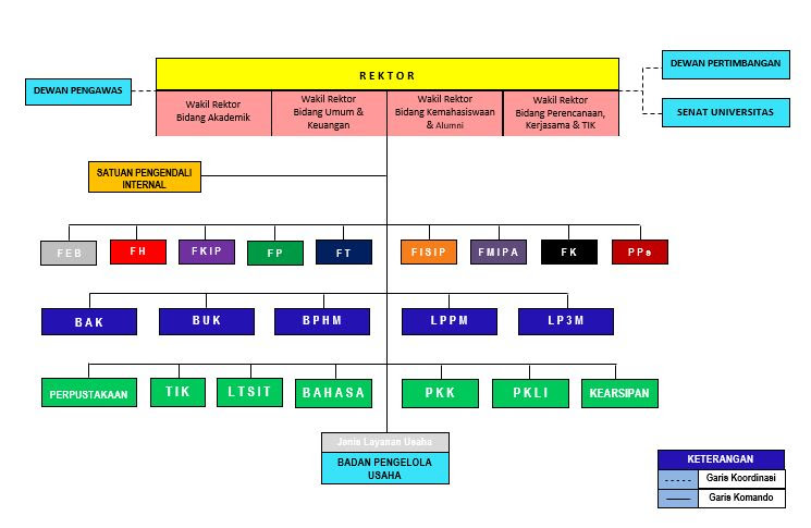 Struktur Organisasi - Universitas Lampung
