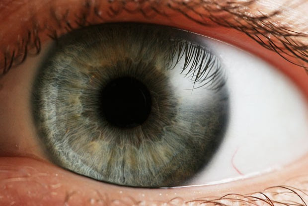 De acordo com especialistas, parte mais difícil do projeto é fazer com que lentes permitam oxigenação do olho (Foto: Petr Novák, Wikipedia)