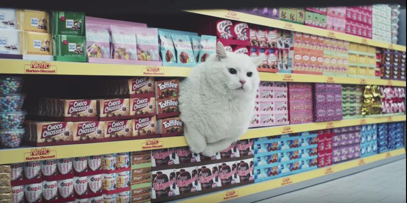 netto-cats-advert01
