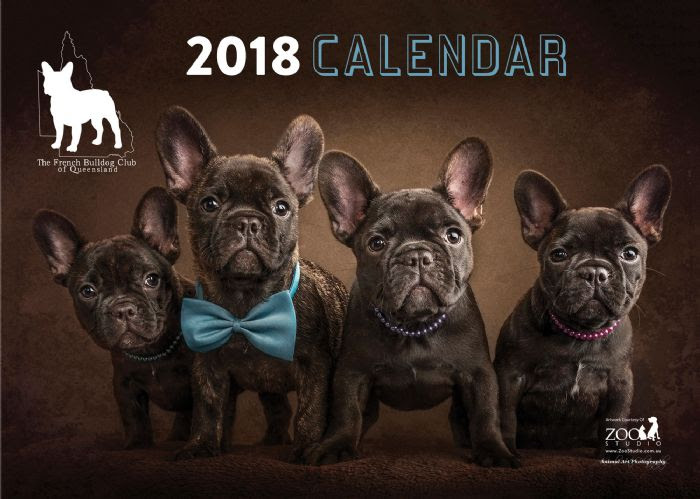 French Bulldog Club of QLD