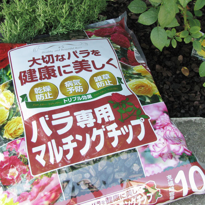バラのマルチングについて 恋子のガーデニング日記