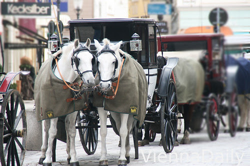 horses