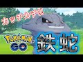 いろいろ ハガネール　技 366690-ハガネール 技 ハートゴールド