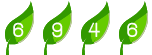 website hit counter
