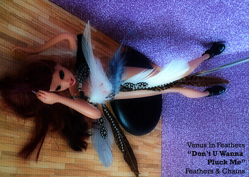 Venus in Feathers music video purple glitter 4 copy