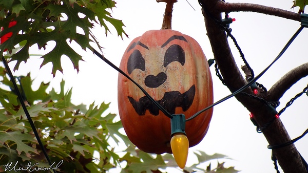Disneyland Resort, Disneyland, Halloween Time, Halloween Tree