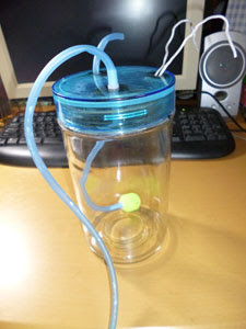 グッピーに始まりグッピーに終わる ブラインシュリンプ