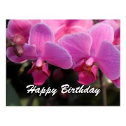 18+ Bon Anniversaire Orchid ©es, Yang Cantik!