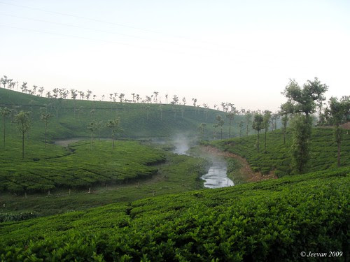 Smoking Stream