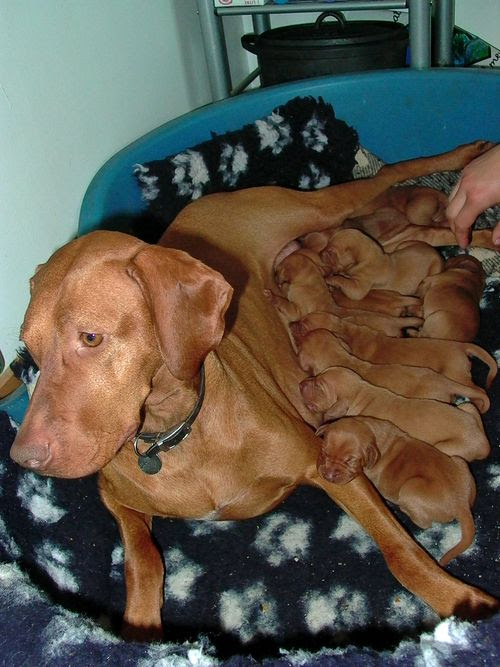 Week-old-1-lightened