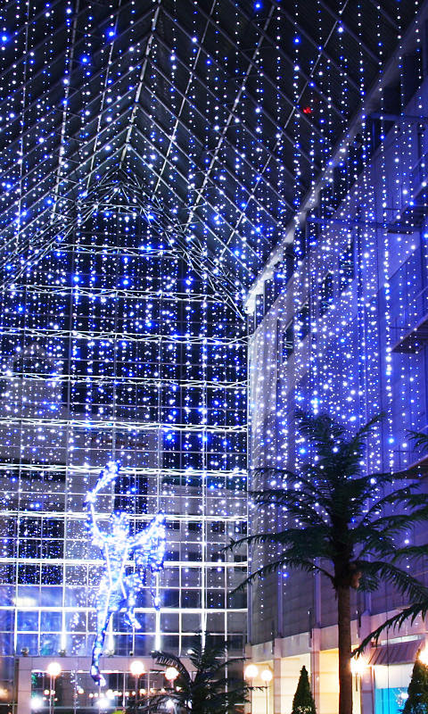 携帯待受画像 クリスマスイルミネーションの壁紙 Wvga縦 480 840 兵庫と神戸の写真ブログ