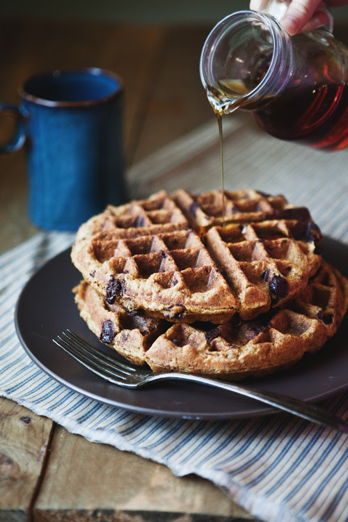 pumpkin chocolate chip