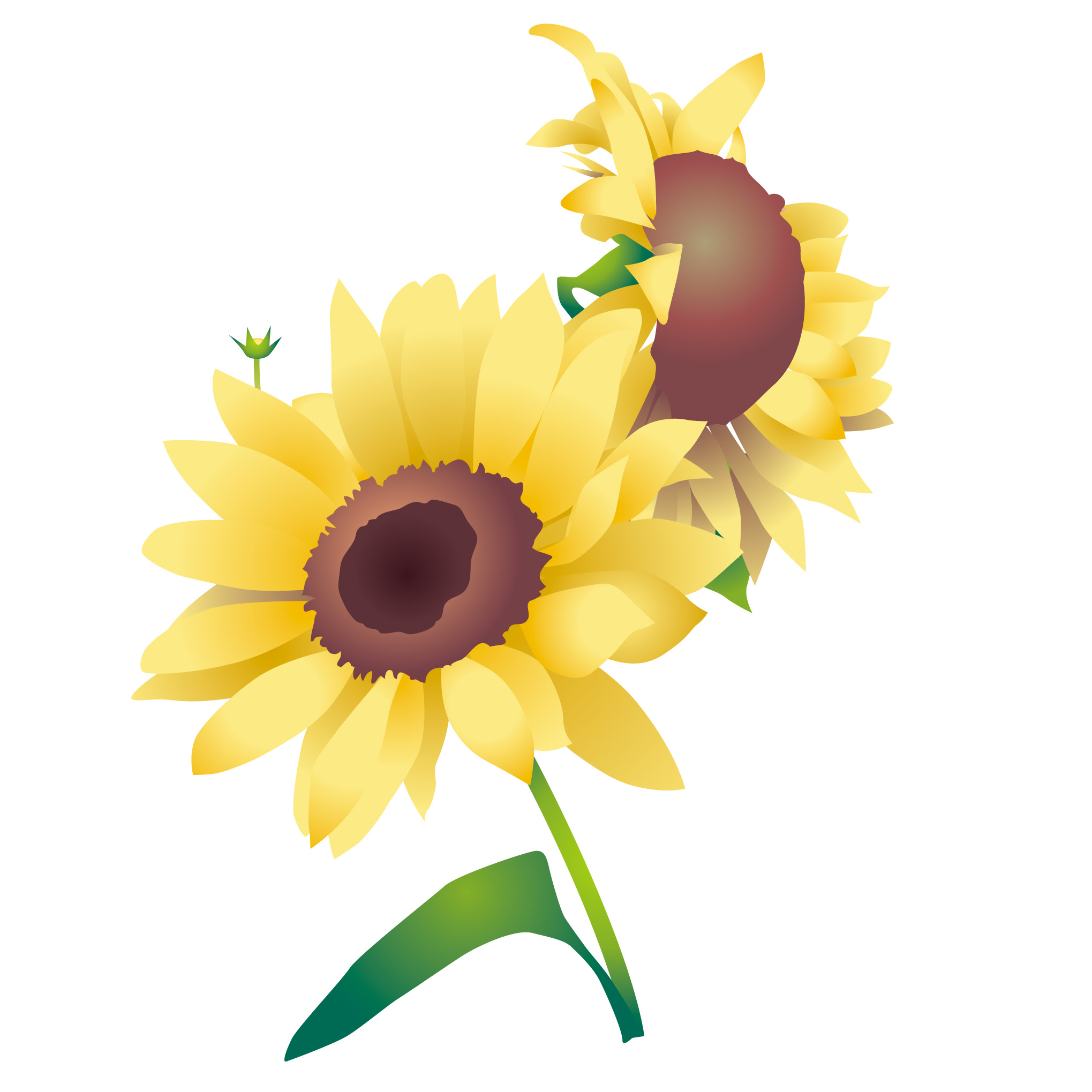 花のイラスト 無料 てつお使えるイラストぷらす