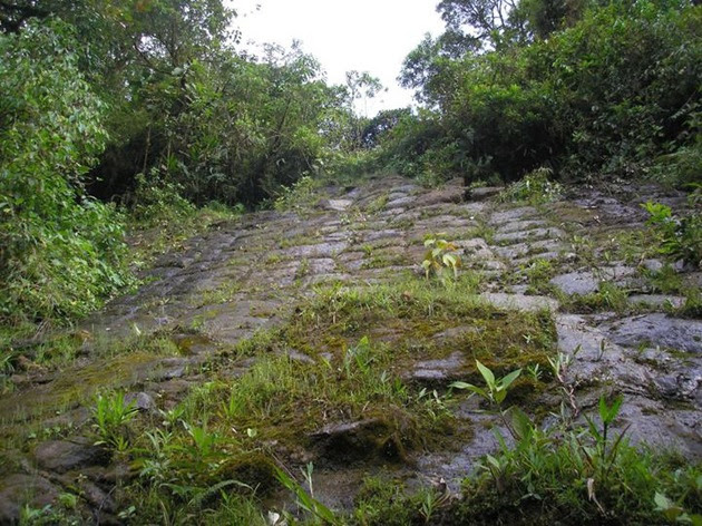 Foto de la estructura literalmente comida por la selva.