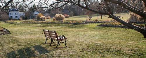 Waiting For The Spring Show At The Presby Iris Gardens