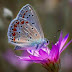 Whatsapp Download Picture - 556+ Very Nice DP For Whatsapp Images Photo Pictures ... : Profile picture downloader lets you download dp pics of whatsapp users.
