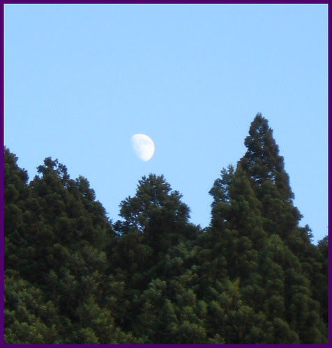 25 day moon big