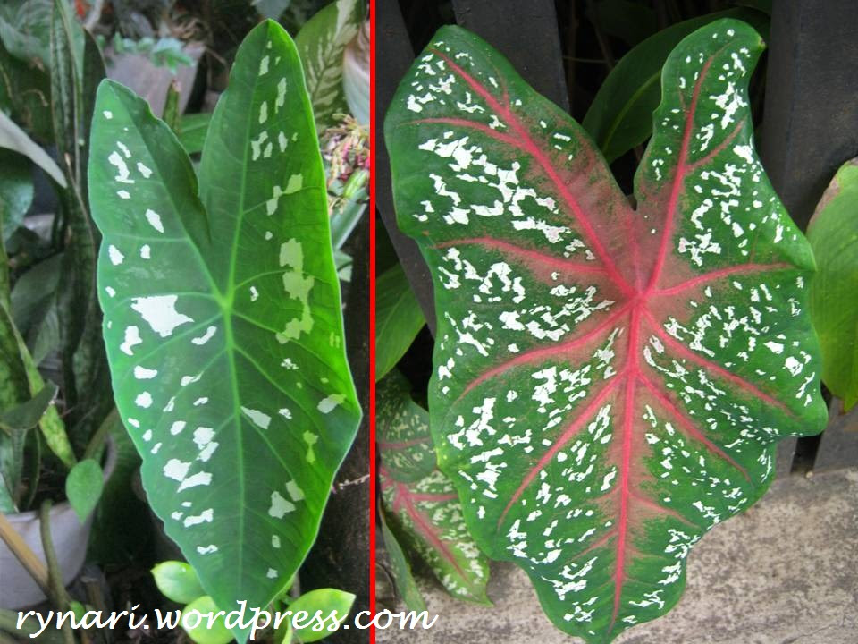 301 Moved Permanently