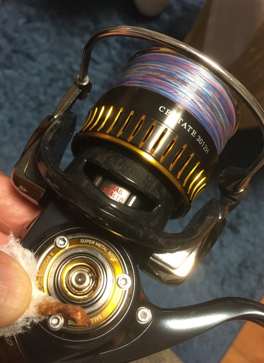 下手な鉄砲 数打ちゃ当たる 珍釣行記 リール比較 シマノ Vs ダイワ