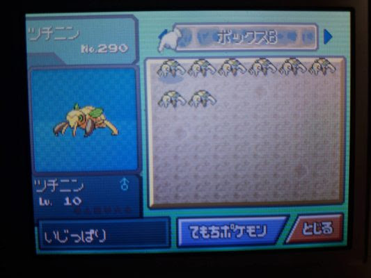 ポケトレ実践 ダイヤモンド ツチニン お得 主婦層に人気 塩 わい的ポケ色廃人