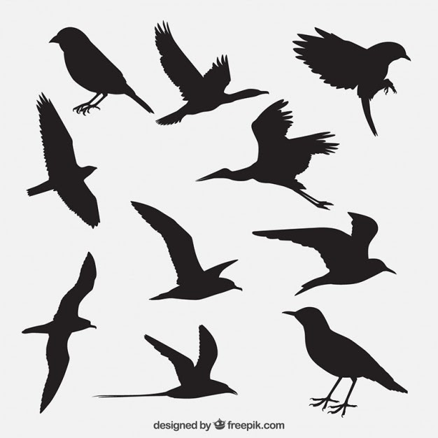 Download Simple Bird Silhouette at GetDrawings | Free download