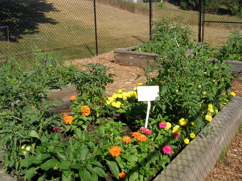GARDEN...JULY 9TH, 2012 by Louise001