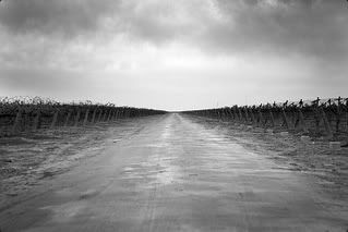 lonely road