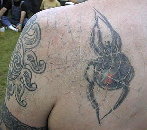  Spider web 