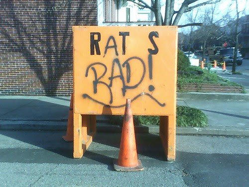 rats is the word