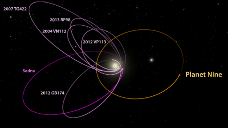 The highly unusual (and yet, oddly similar) orbits of a number of Kuiper Belt Objects. Image by Caltech 