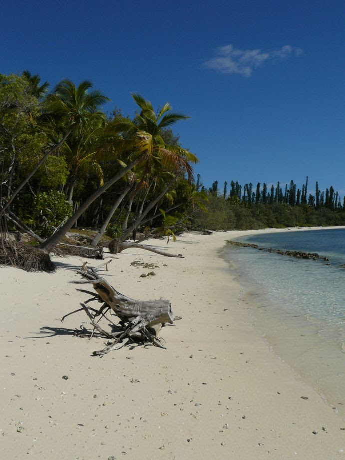 Ile des Pins 2008 #57