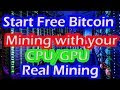 Will Bitcoin Be The Next Bitcoin : Confira a origem do Bitcoin: quem criou a criptomoeda ... - The next decade could prove its importance in bitcoin's evolution.