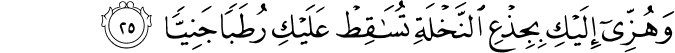 19:25