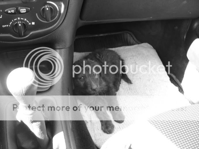 Image hosting by Photobucket