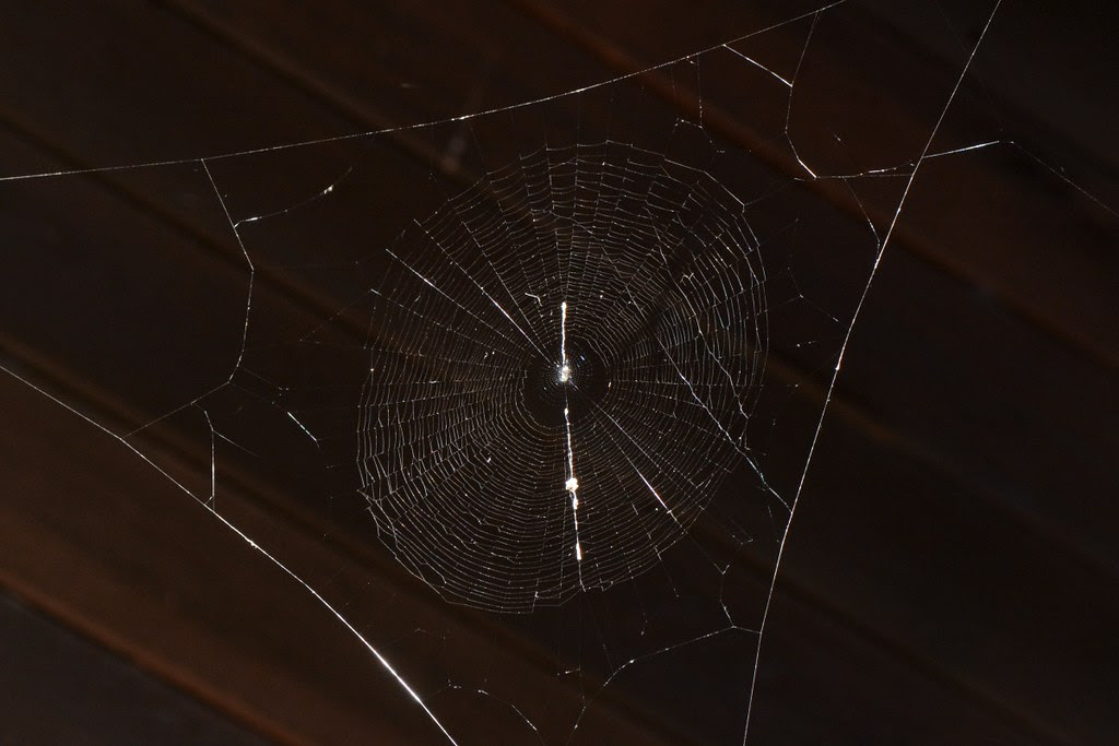 Form web