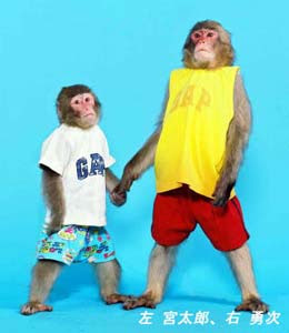 河口湖猿まわし劇場 河口湖地区