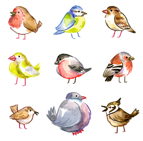 Personal Illustration Projects