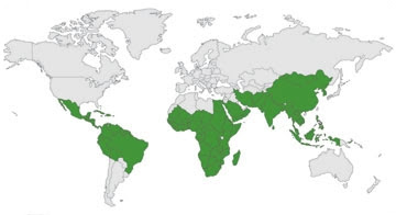 Världskartan - där Moringa växer