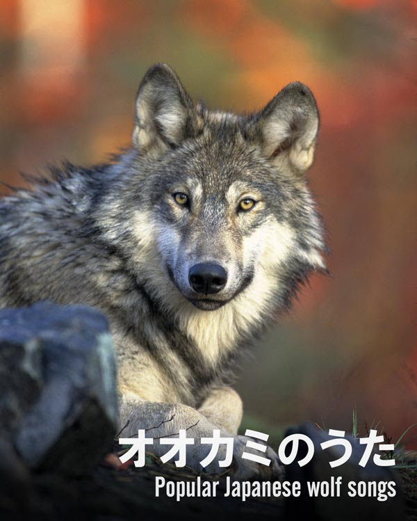 オオカミのうた 狼に関する民謡 童謡 音楽