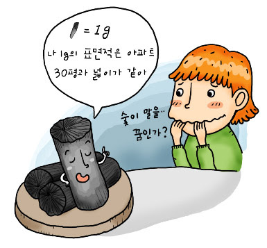 [생활 속 수학이야기](30)스펀지와 숯의 공통점