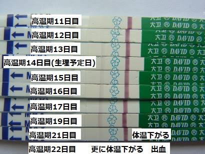 流産周期 フライングの反応です トーコ３9歳 女の子のママになりたい 楽天ブログ
