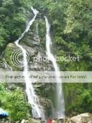 siemens sk65 manzaralı duvar kağıdı, nature wallpaper