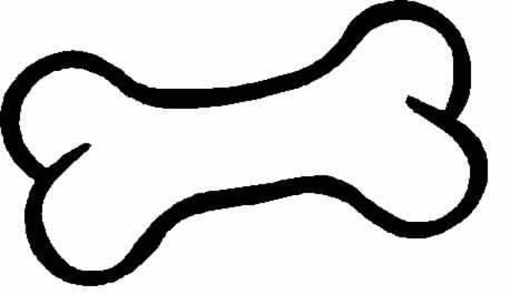 Bones Template | Free download best Bones Template on  