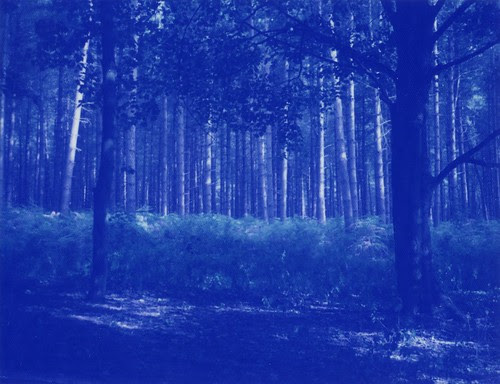 Polaroid Blue Film - straight scan